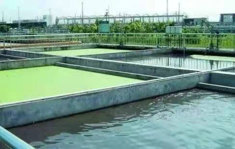 污水处理——守护地球之肺